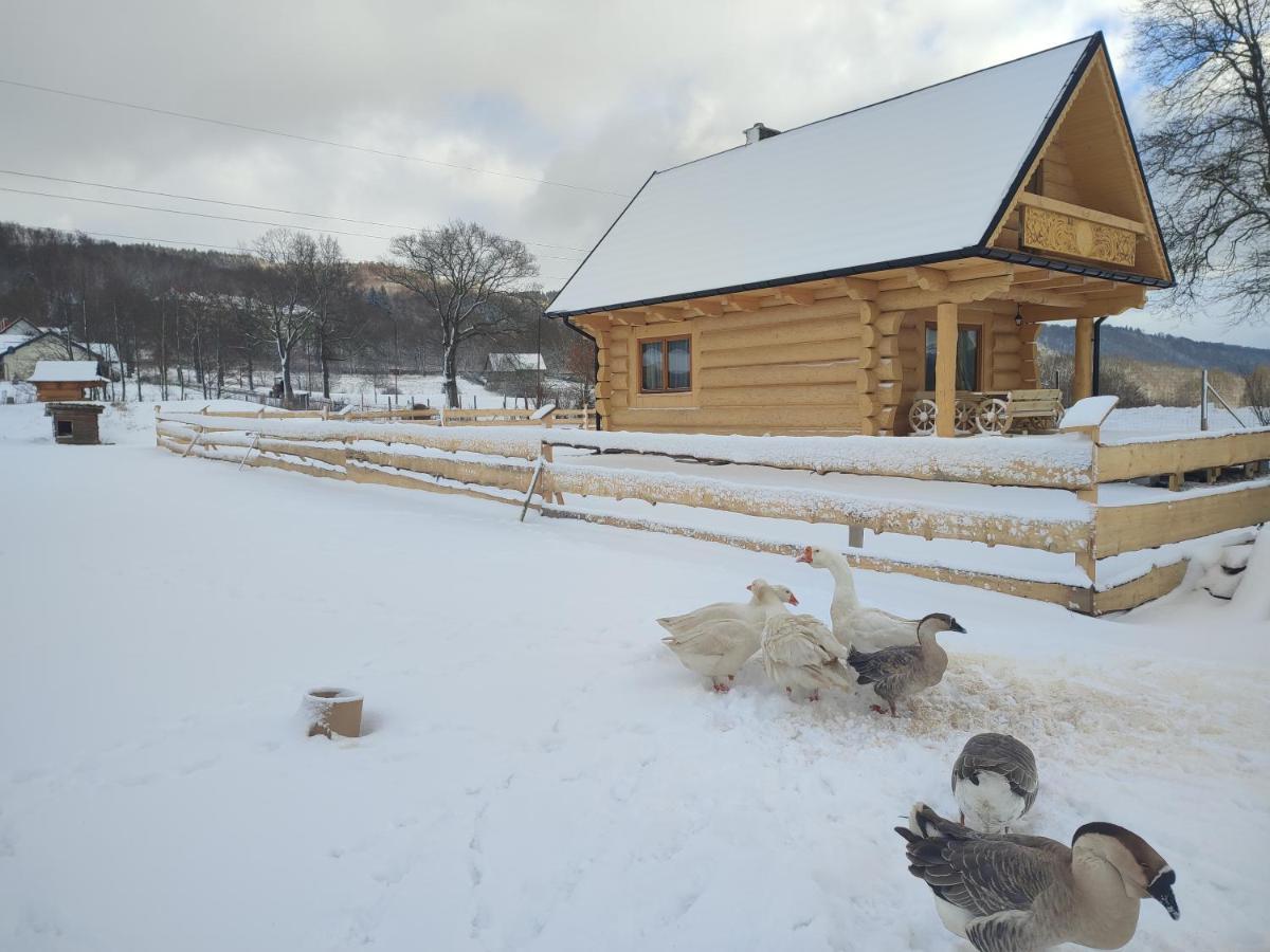 Sudecki Dym Z Kominkiem Kolo Karpacza. Agroturystyka Janowice Wielkie Exteriör bild