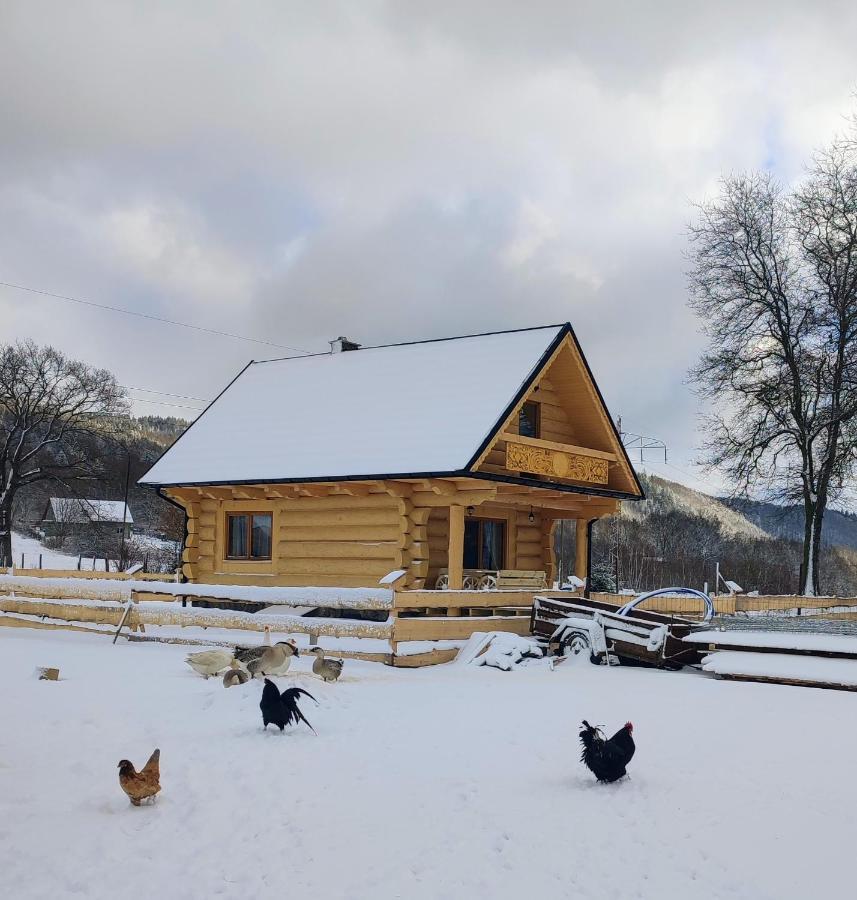 Sudecki Dym Z Kominkiem Kolo Karpacza. Agroturystyka Janowice Wielkie Exteriör bild