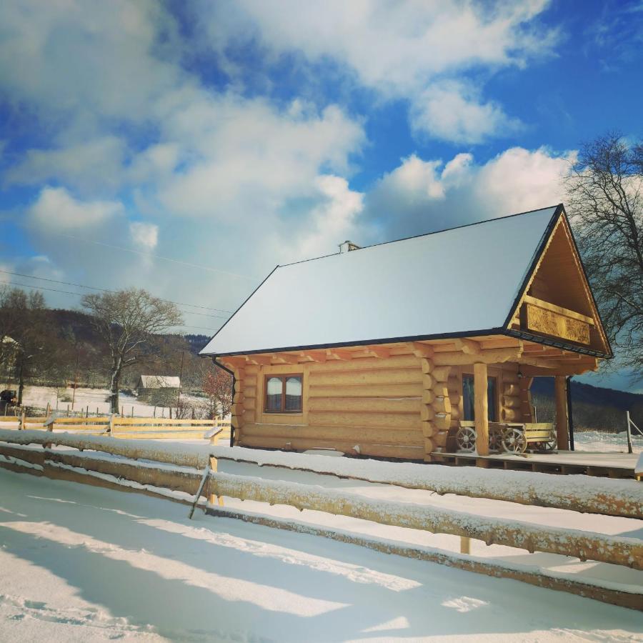 Sudecki Dym Z Kominkiem Kolo Karpacza. Agroturystyka Janowice Wielkie Exteriör bild