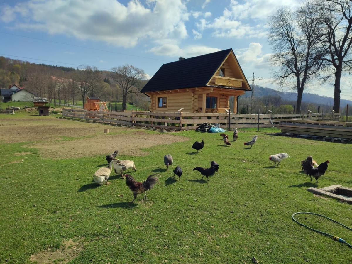 Sudecki Dym Z Kominkiem Kolo Karpacza. Agroturystyka Janowice Wielkie Exteriör bild