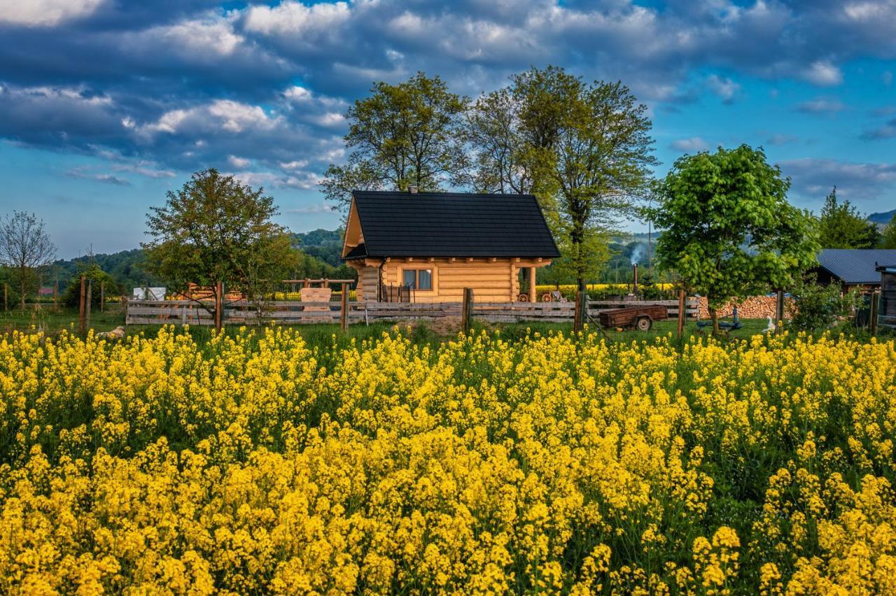 Sudecki Dym Z Kominkiem Kolo Karpacza. Agroturystyka Janowice Wielkie Exteriör bild