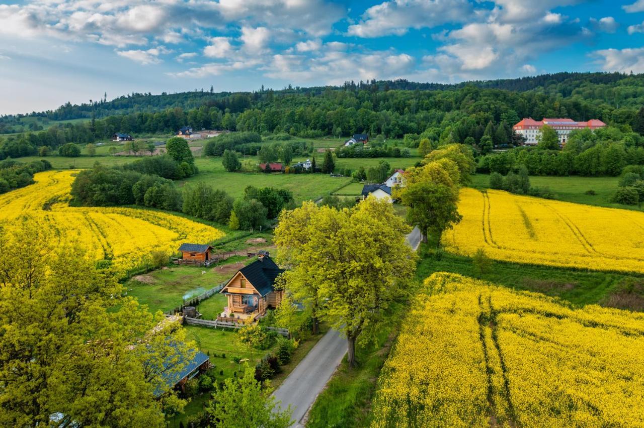 Sudecki Dym Z Kominkiem Kolo Karpacza. Agroturystyka Janowice Wielkie Exteriör bild